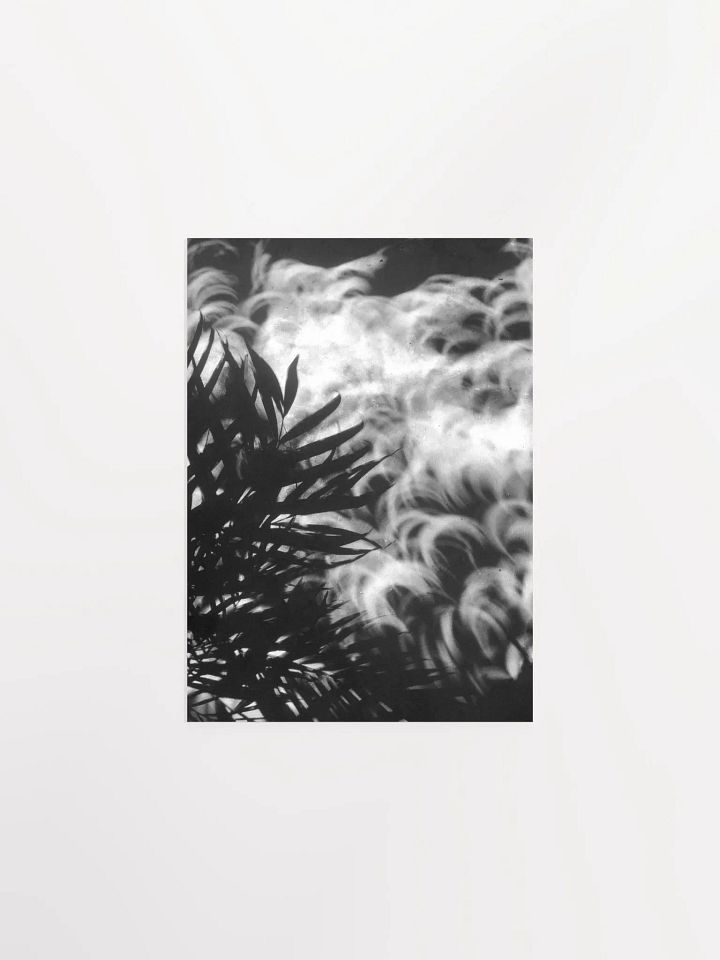 Crescents of Light from the Eclipse - Poster 1 product image (7)