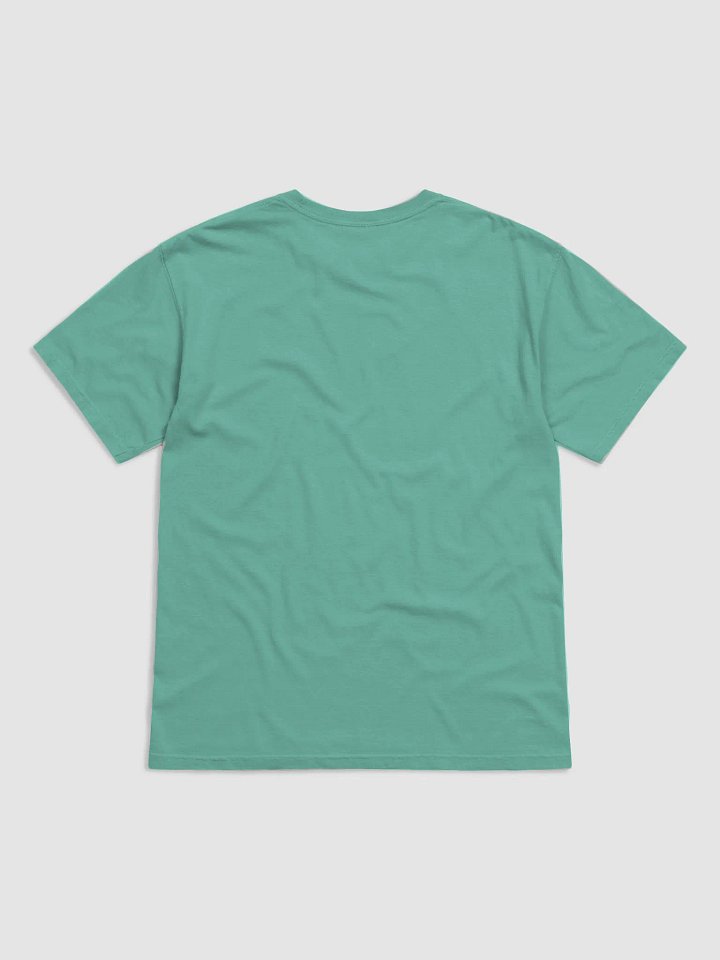 Ragdoll Cat T-shirt, no. RG001 - men product image (2)