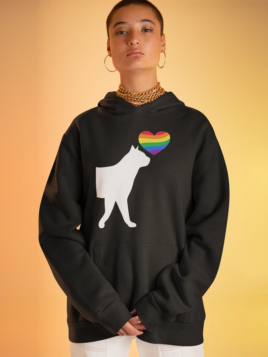 LGBTQ+ Hoodie Pussycat Rainbow Heart (dark) product image (3)