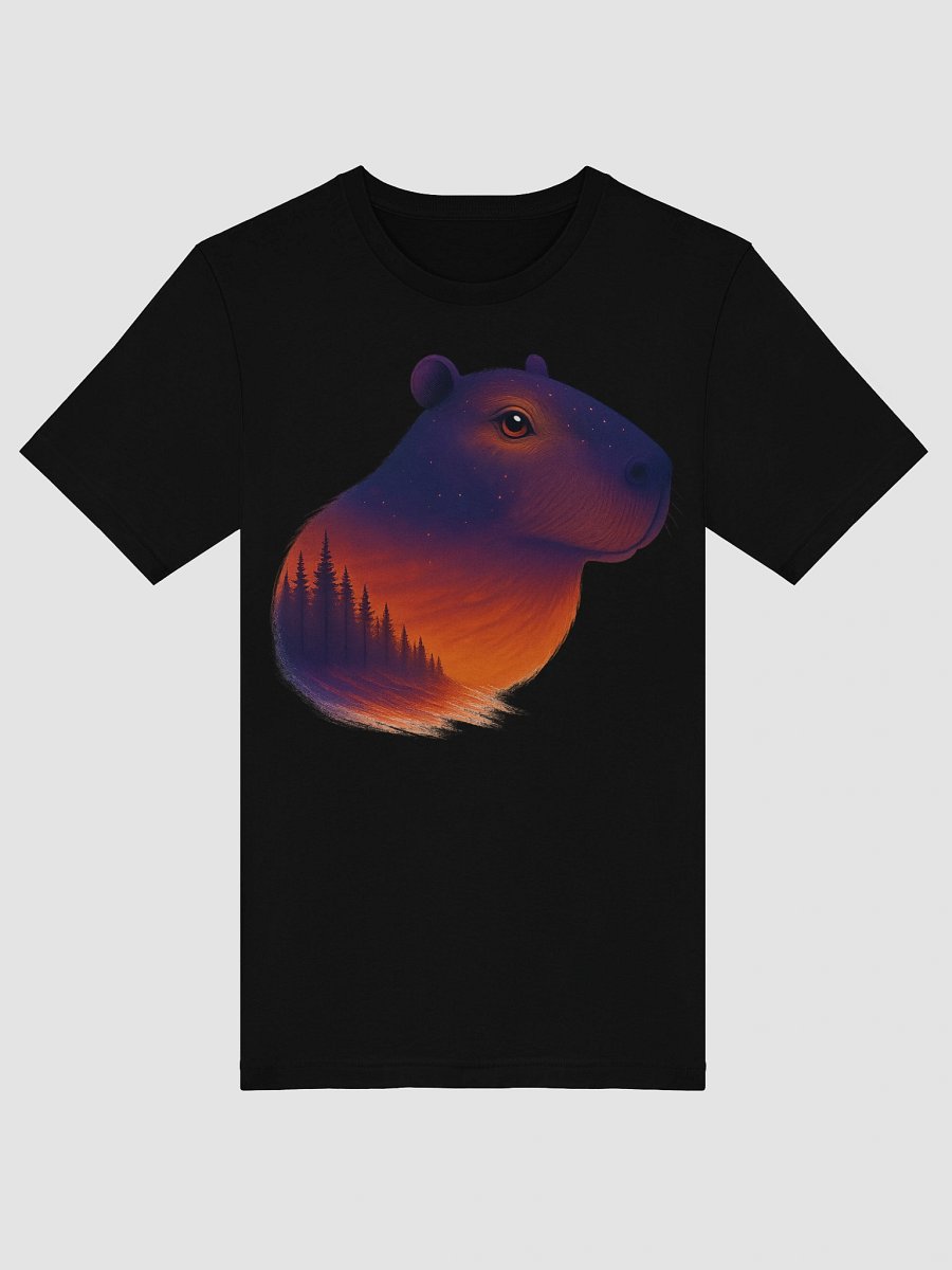 Cosmic Chill Capi Soft T-Shirt product image (5)