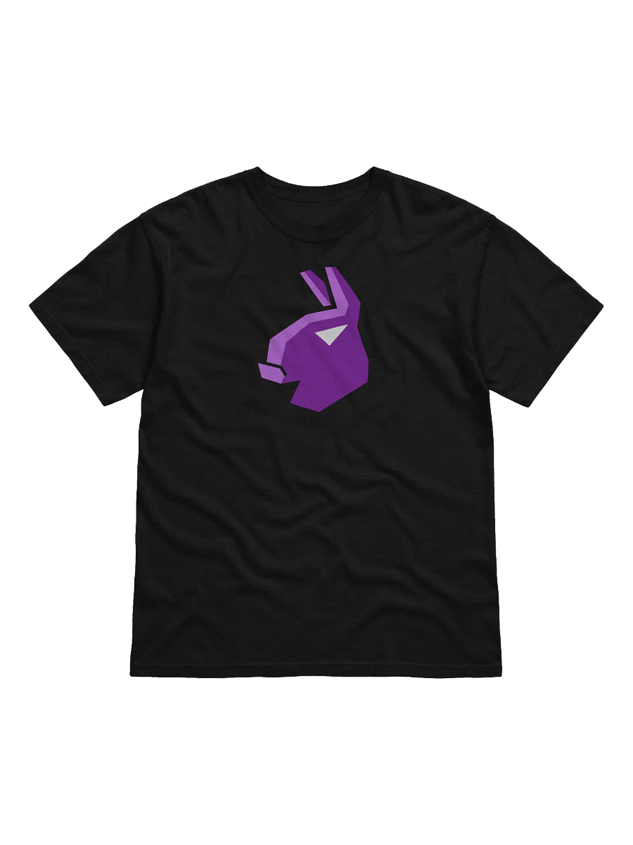 Dangit Black Tee product image (2)