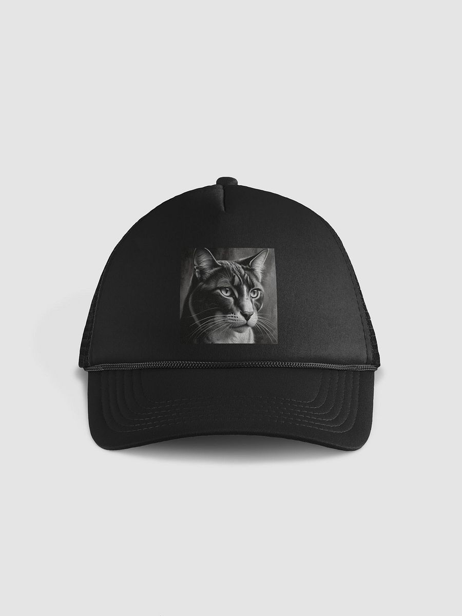 Cat product image (1)