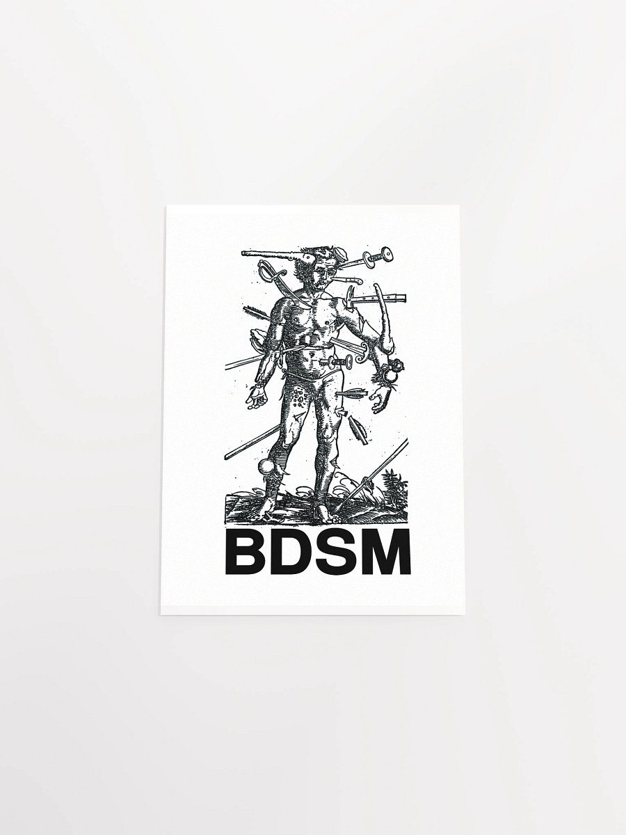 BDSM - Poster product image (28)