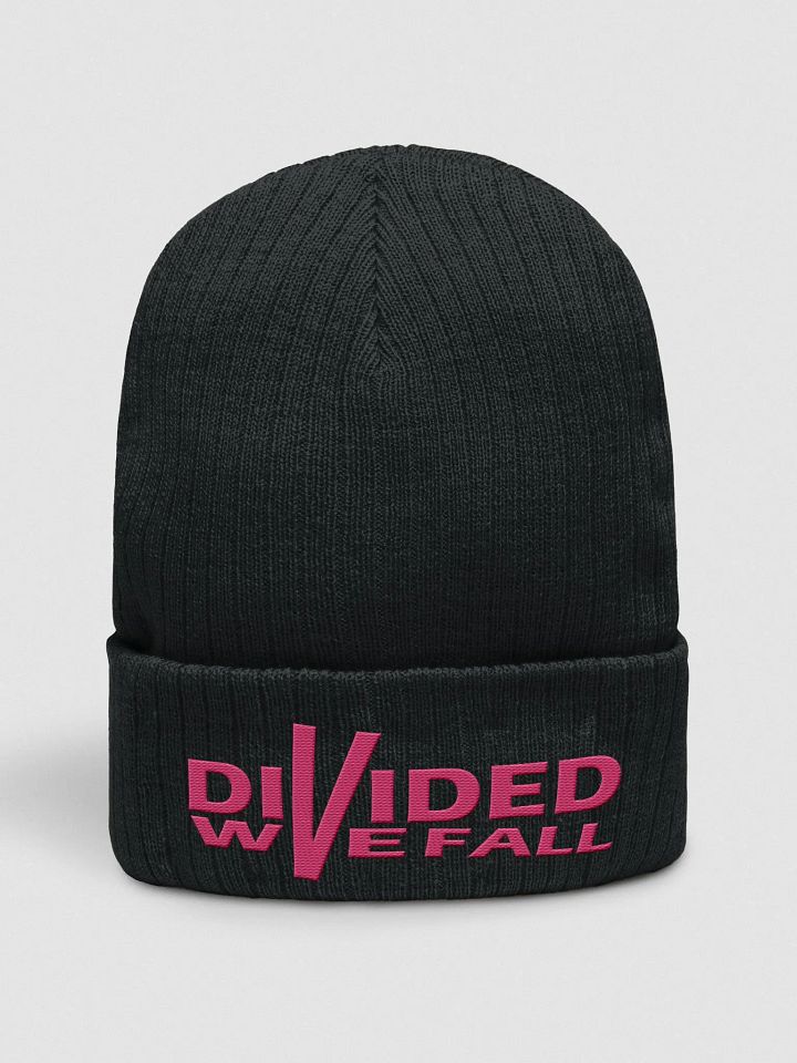Divided We Fall - Pink - Atlantis Ribbed Knit Beanie product image (1)