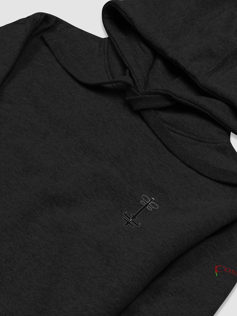 KYS Hoodie product image (3)