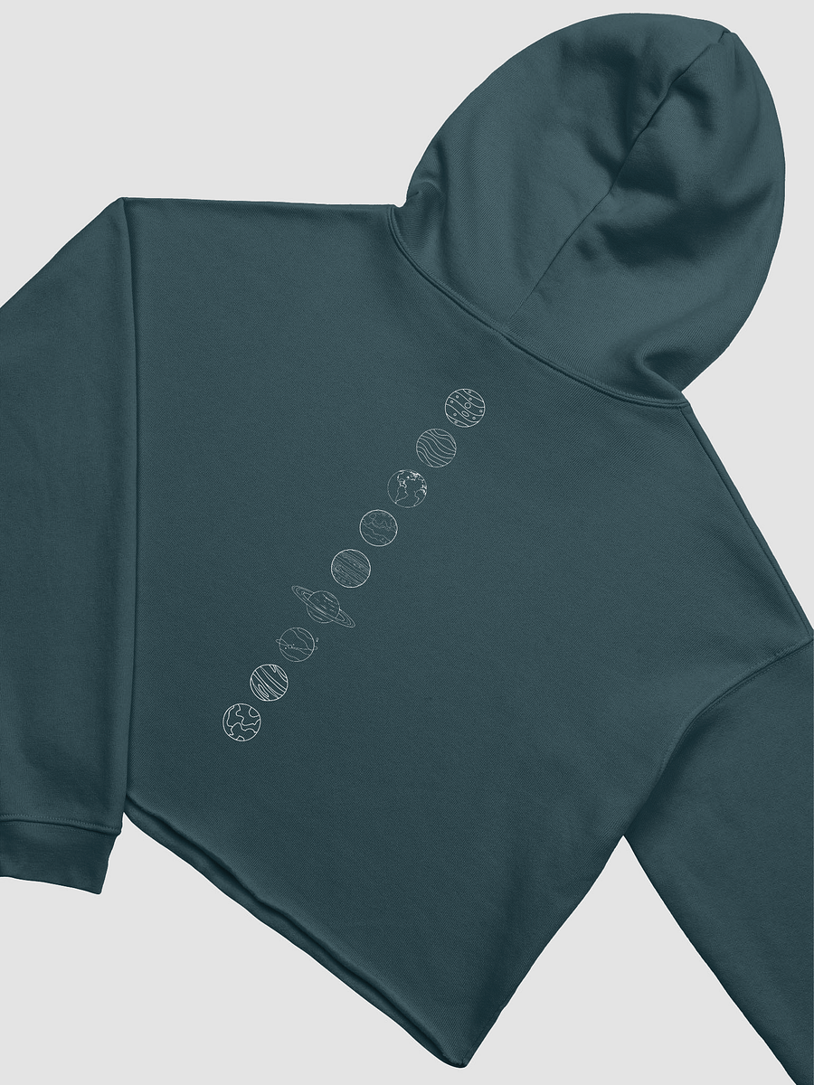 PW & vertical planets cropped hoodie product image (4)