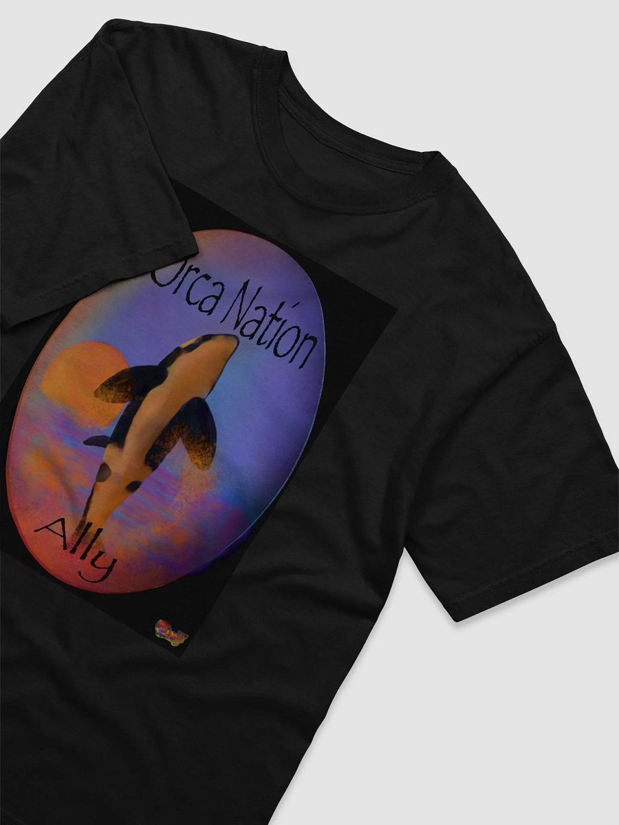 Orca Nation Ally Comfort Dyed Heavy Weight T-Shirt product image (37)