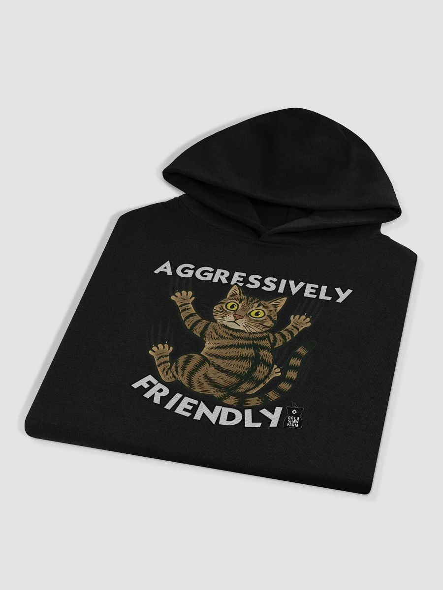 Ginny Barn Cat "Aggressively Friendly" Hoodie product image (7)