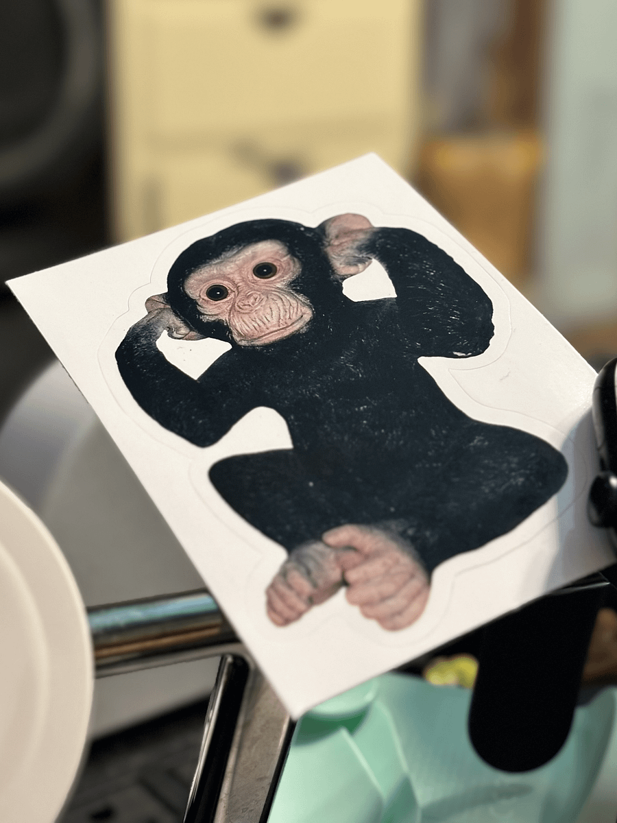 cursed ape sticker product image (3)