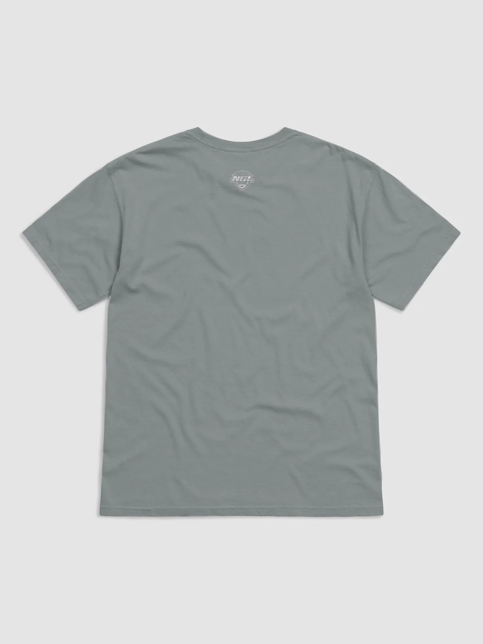 Virginia Beach Nighthawks T-Shirt by Comfort Colors product image (2)