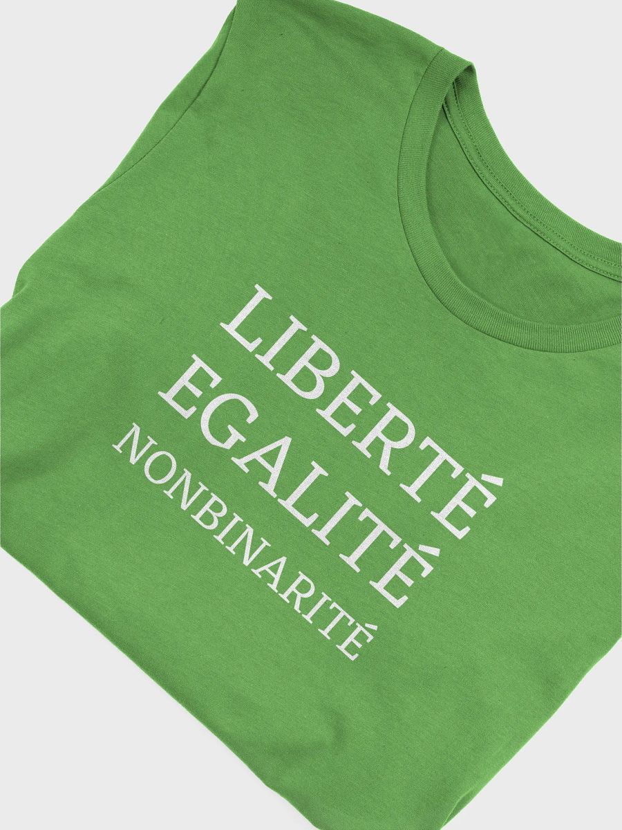 liberte egalite nonbinarite t-shirt product image (5)