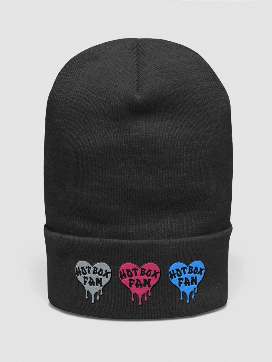 HOT BOX FAM SOLID EMBROIDERY BEANIE product image (9)