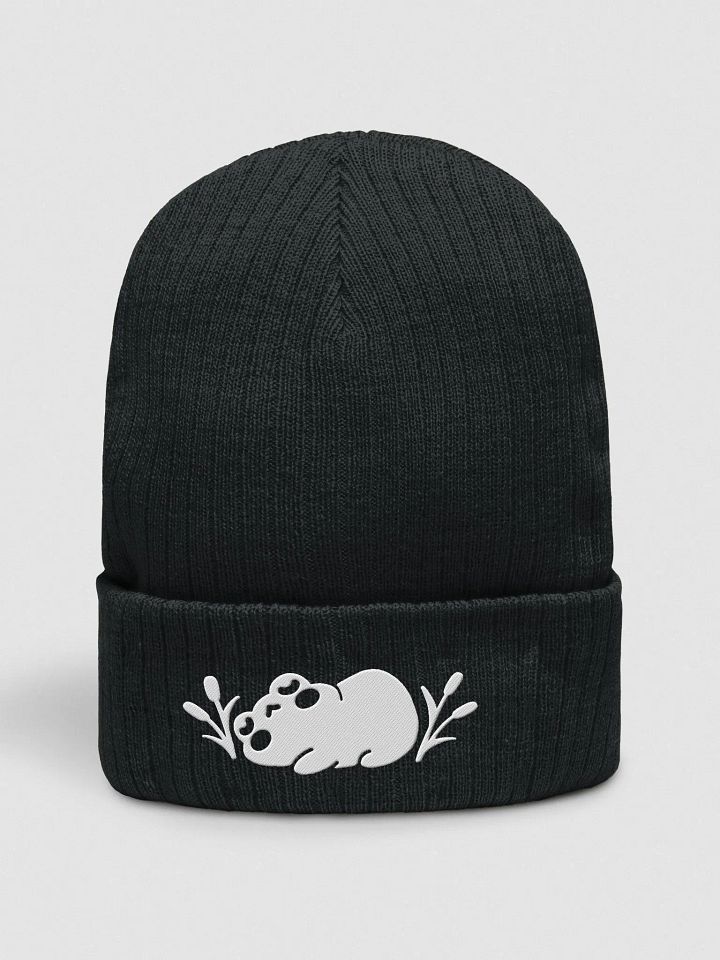 Eepy Fronk Beanie product image (1)