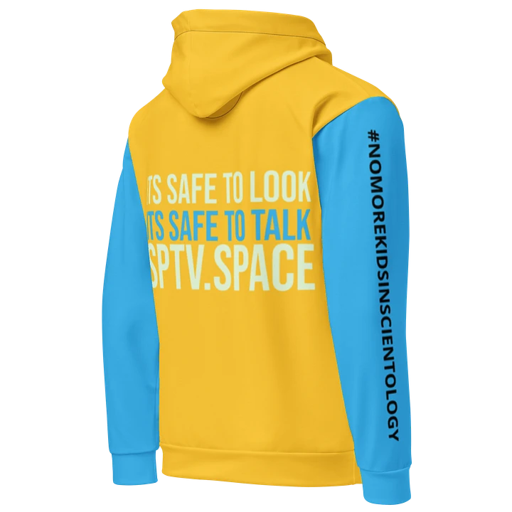 The Golden Age of Reality Hoodie product image (2)