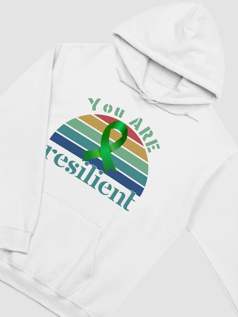 You Are Resilient, Sunset Gildan Hoodie product image (4)