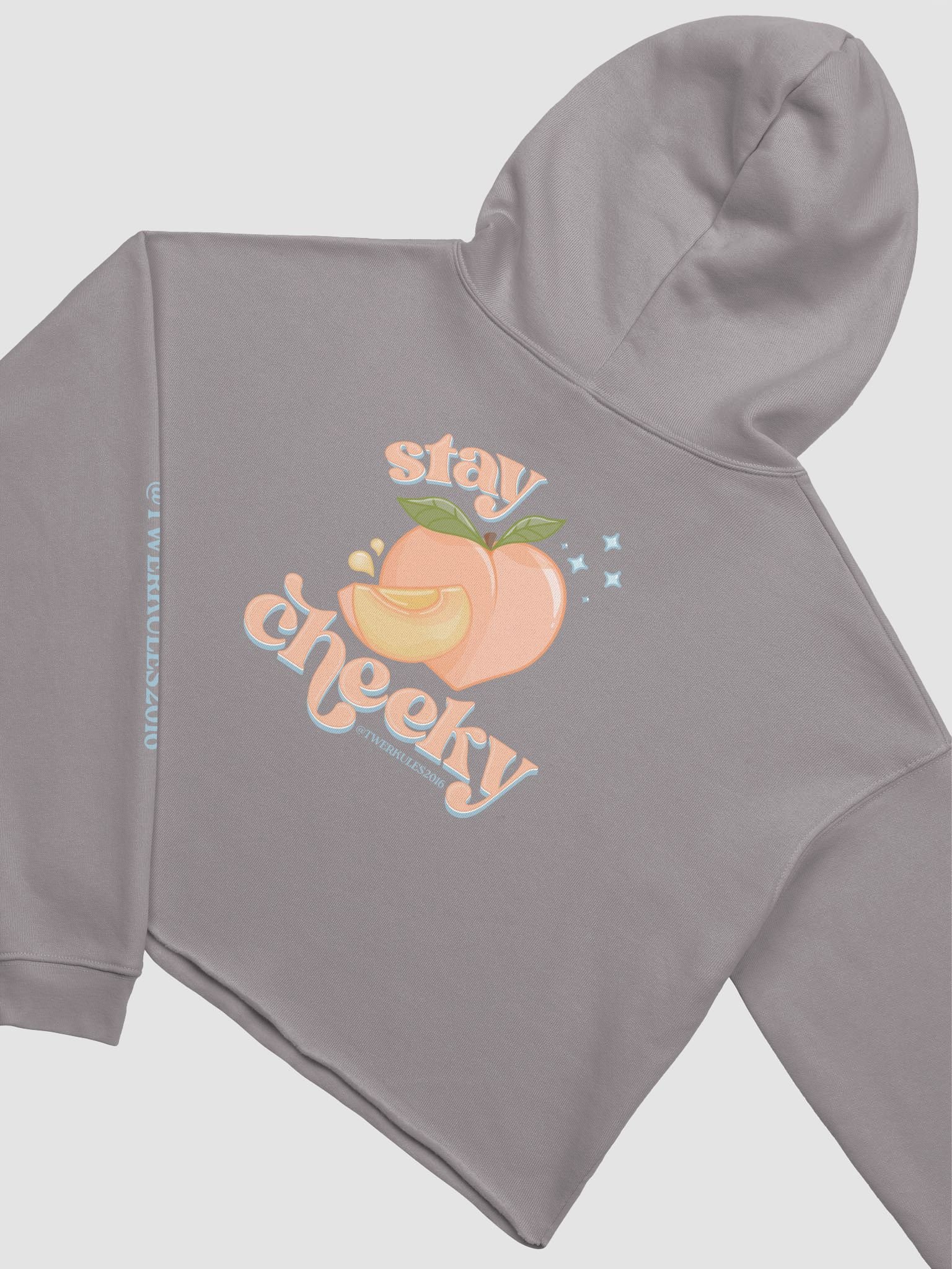 Stay Cheeky Crop Top Hoodie product image (4)