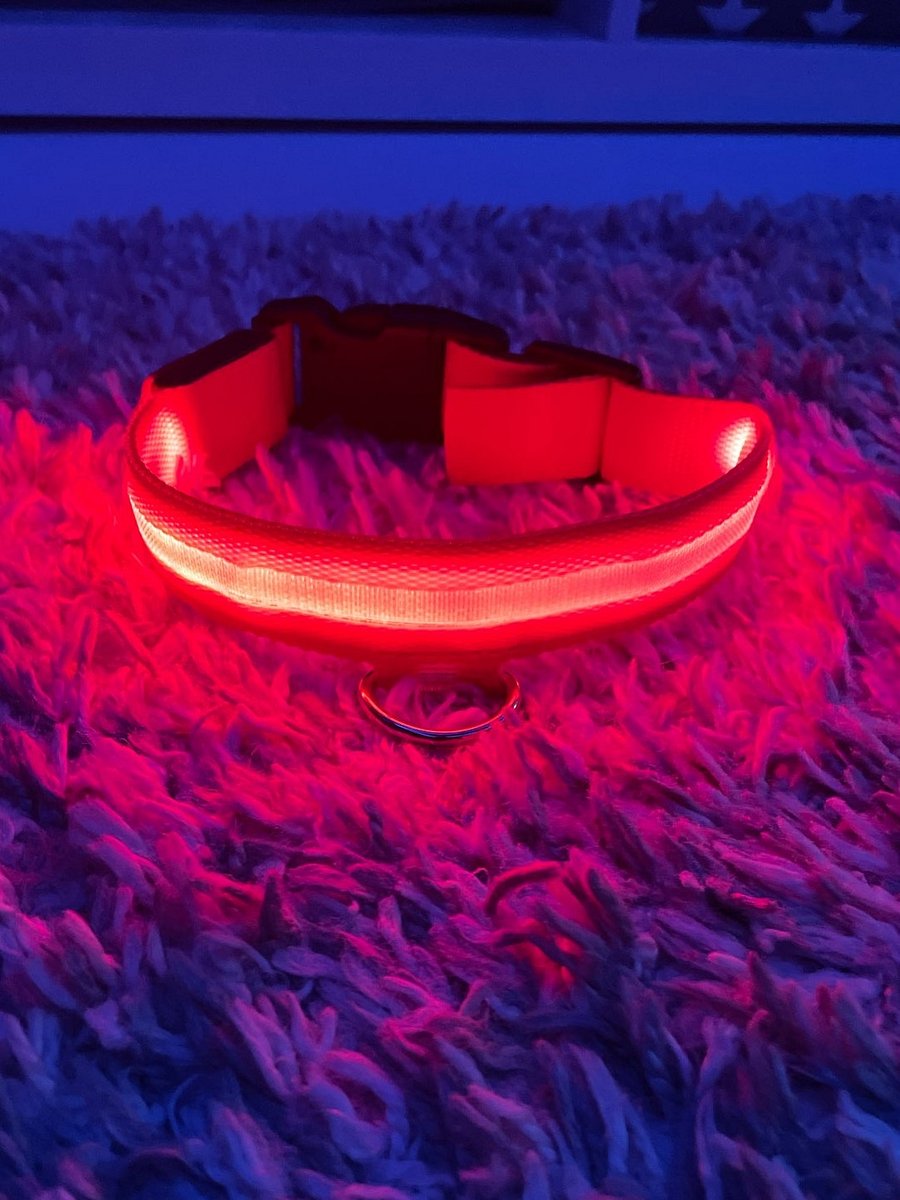LED Rechargable Pet Collar product image (1)