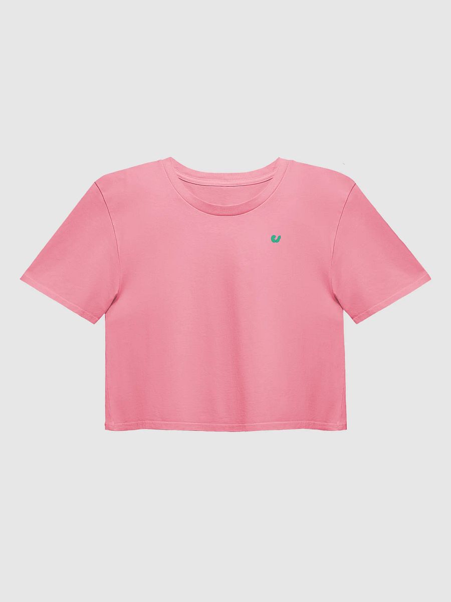 CS Premium Crop Top Tee product image (17)