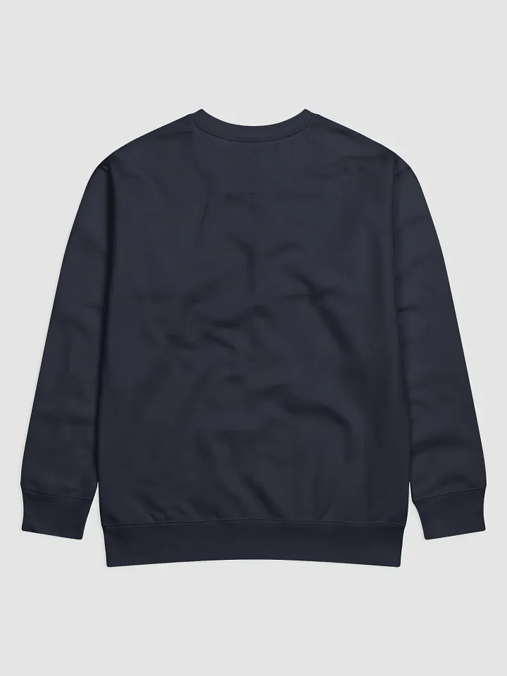 🎮 Gamer's Proclamation Premium Sweatshirt 🎮 product image (2)