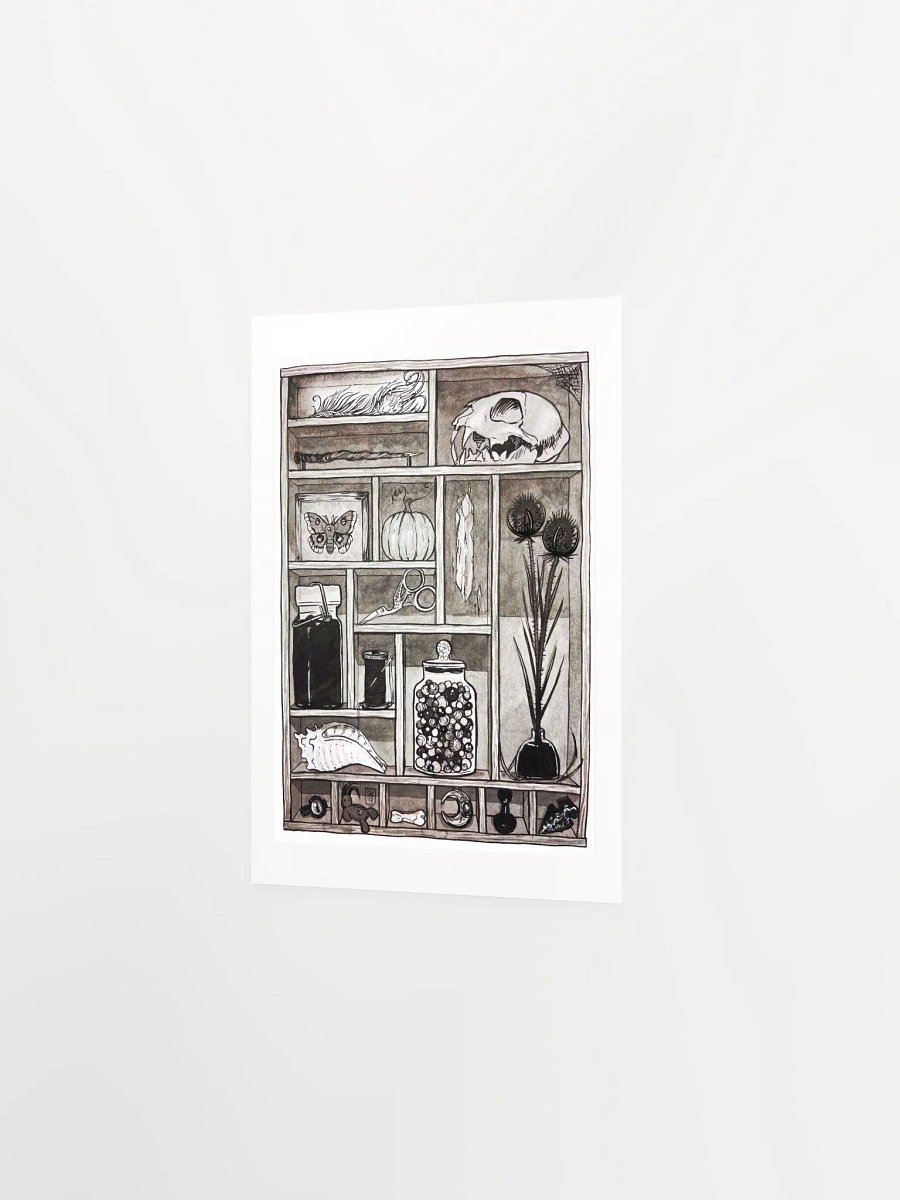 Cabinet of Curiosities Art Print product image (3)