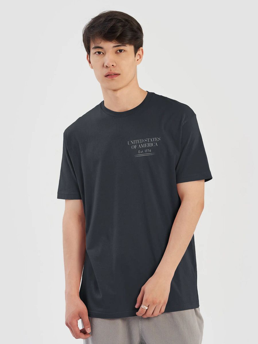 Patriot Eagle 1776 T-Shirt product image (13)