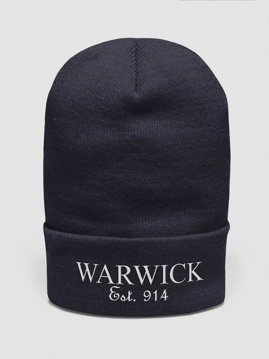 Warwick 914 - Classic Beanie - Dark product image (2)