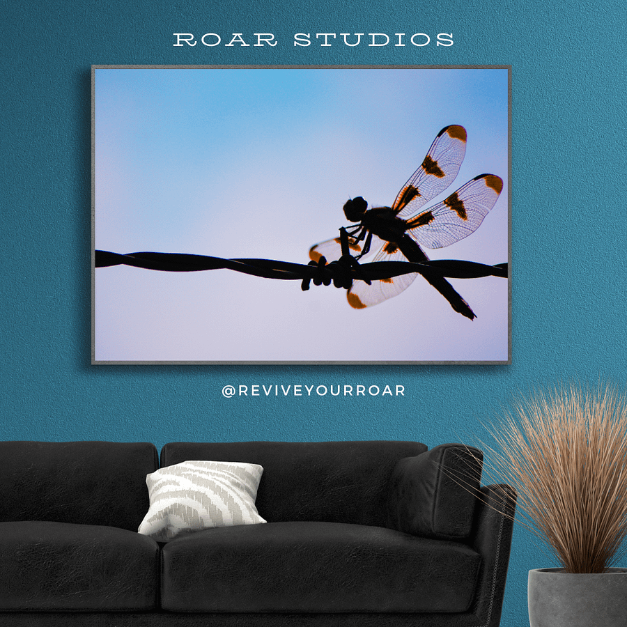They always come back. product image (1)