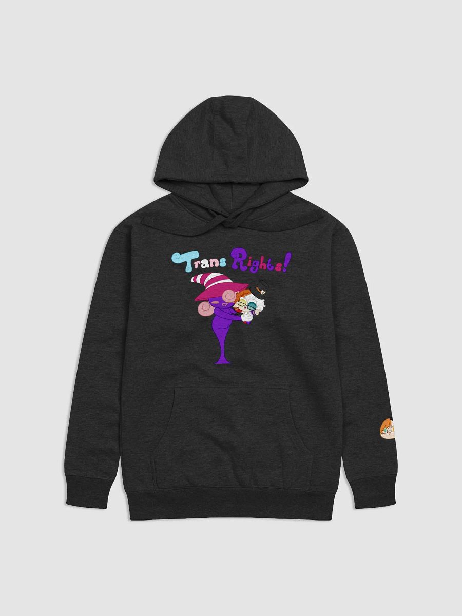 TRANS RIGHTS Hoodie product image (1)