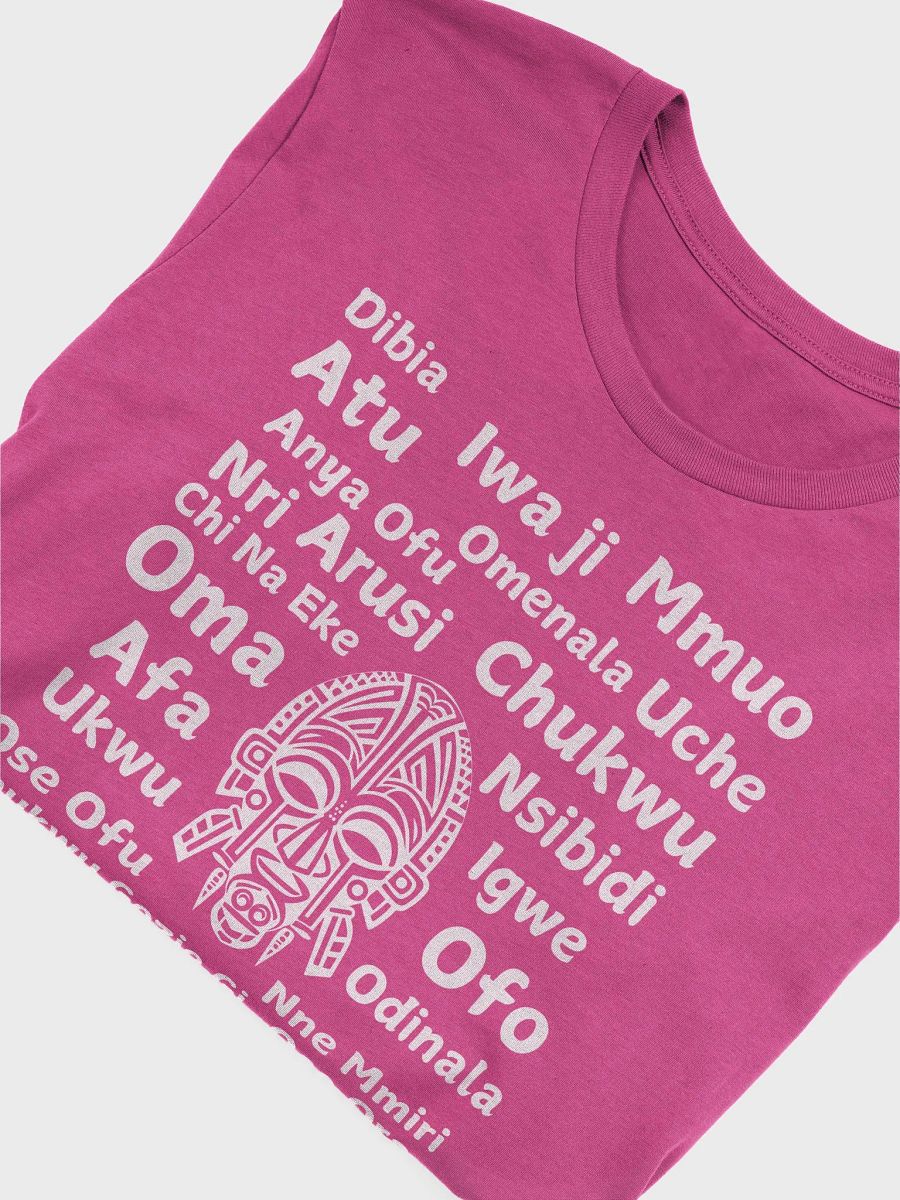 Igbo Spirituality Graphic Tee product image (5)
