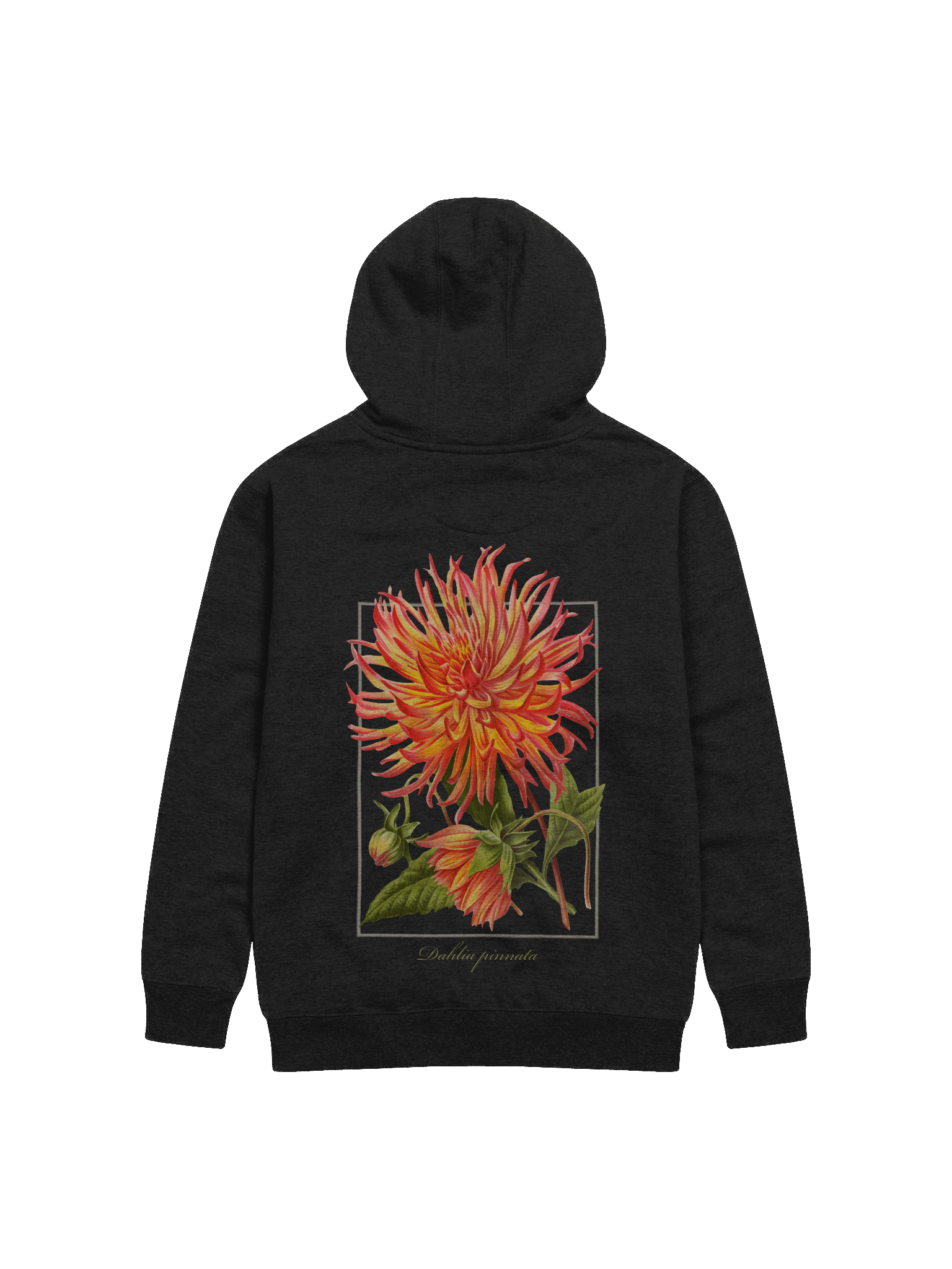 Cactus Dahlia Premium Adult Unisex Hoodie product image (1)