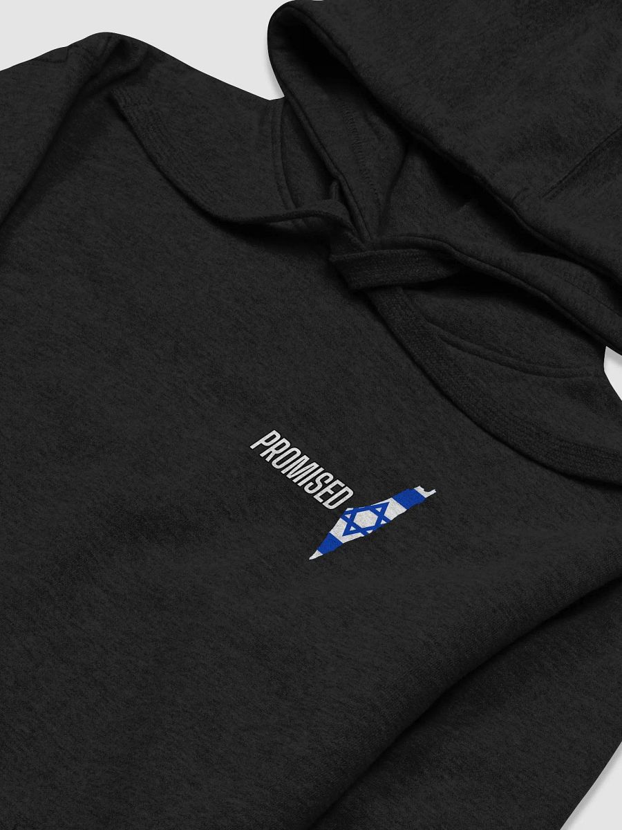 PROMISED Sweatshirt – Covenant Edition product image (5)