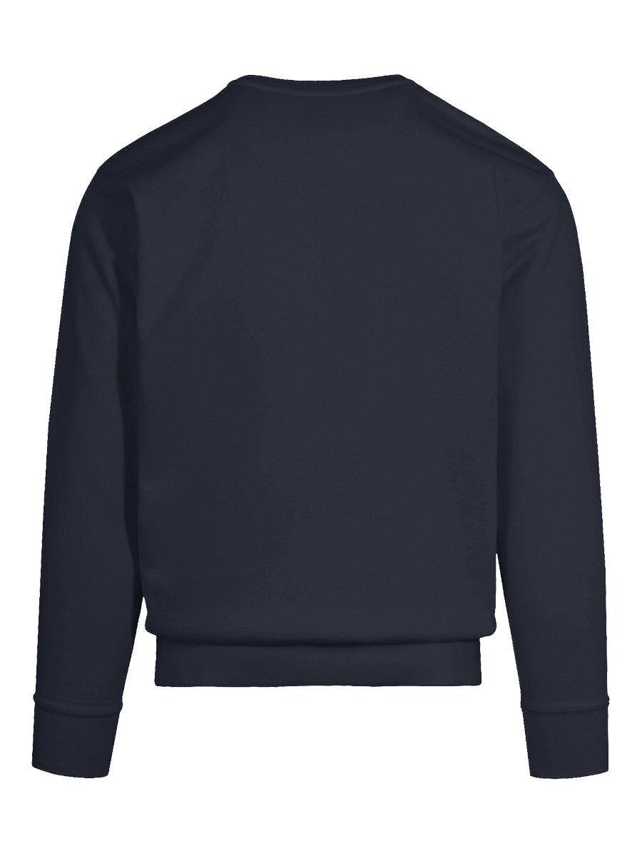 Streamer Definition Sweatshirt product image (11)