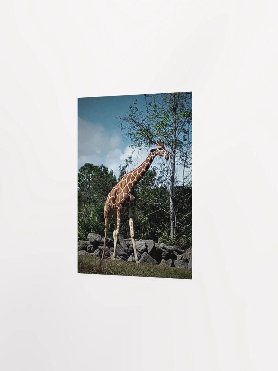 Giraffe Dark Edit product image (17)