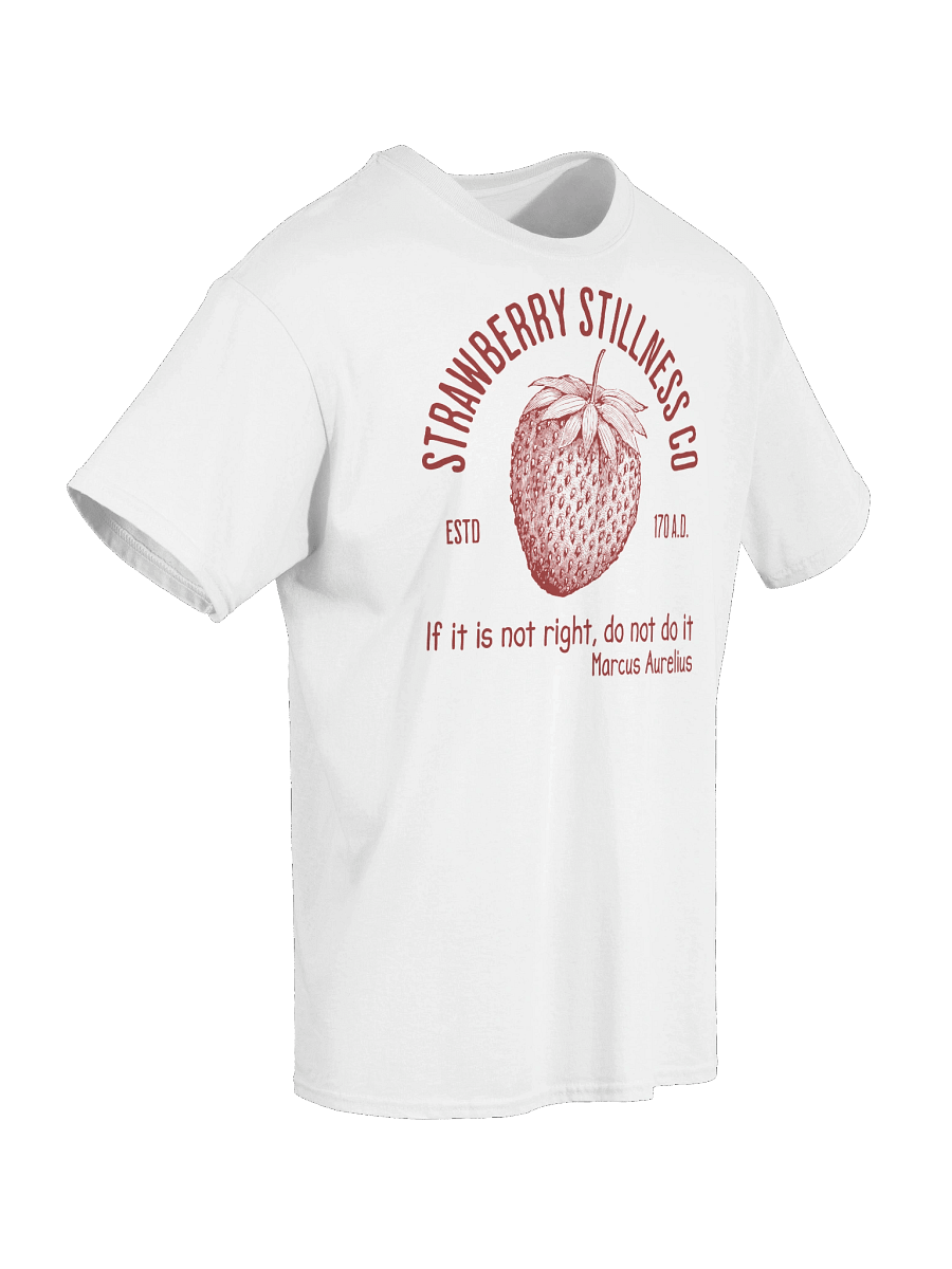 STOIC STRAWBERRY TSHIRT product image (7)