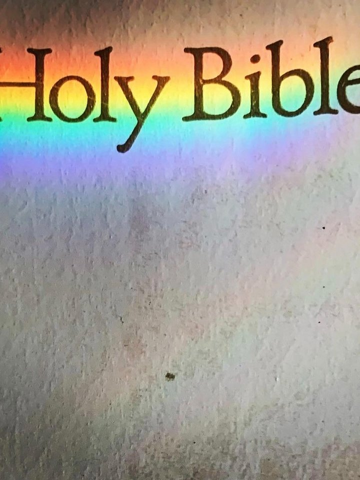 Holy Molly Donut Shop NFT product image (1)