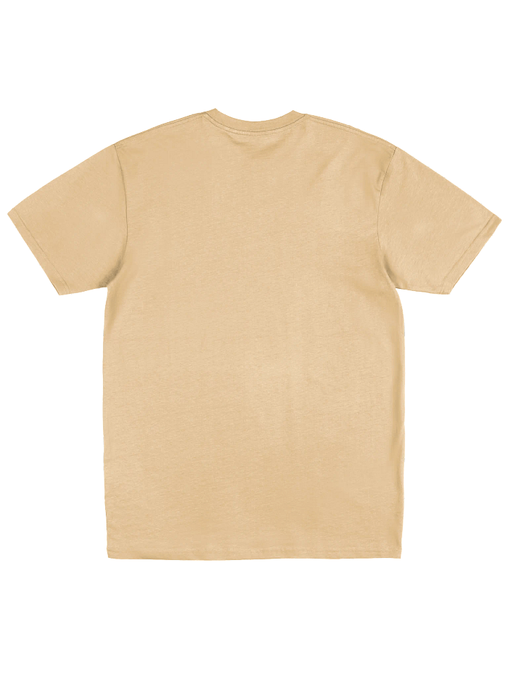 “It’s What It Is” Tee – Premium Heavyweight Fit product image (2)