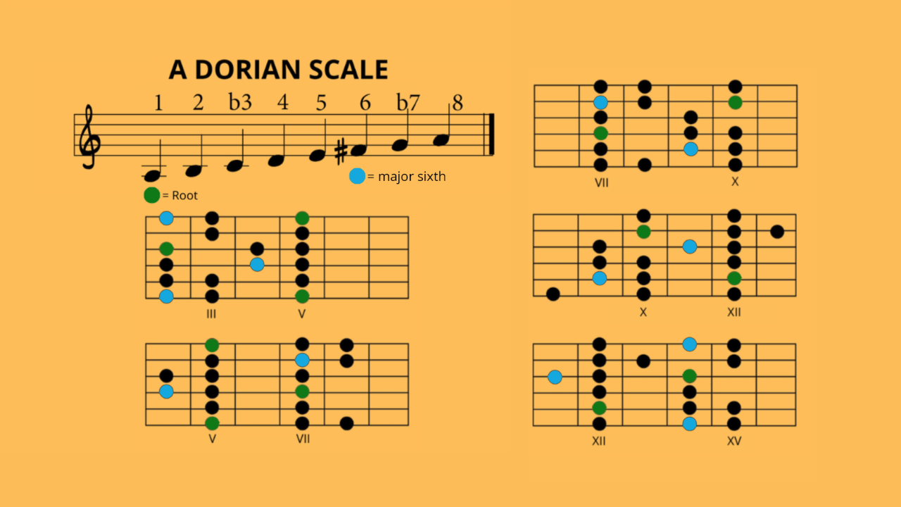 A Dorian Mode Scale Diagrams product image (1)
