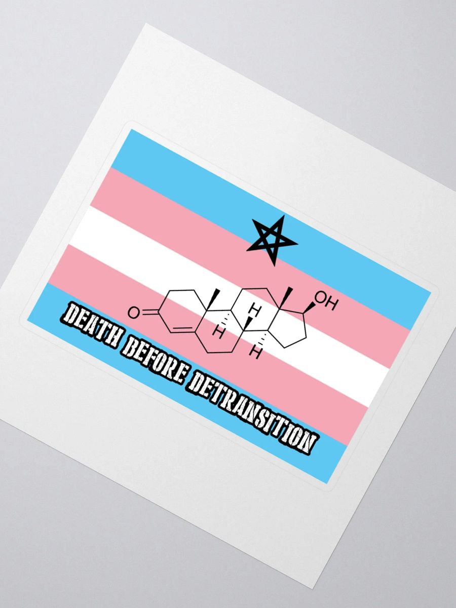 Death Before Detransition (testosterone, sticker edition) product image (5)