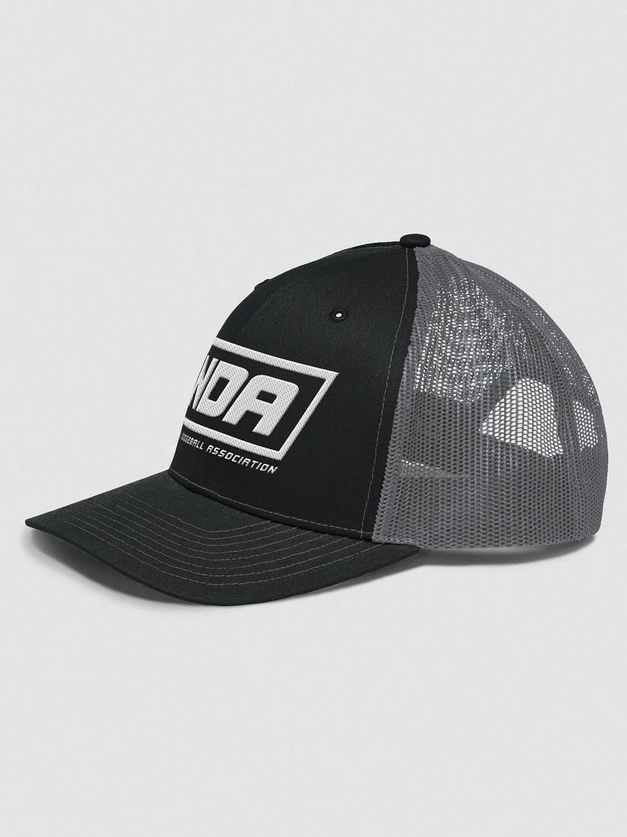 National Dodgeball Association Trucker Hat product image (7)