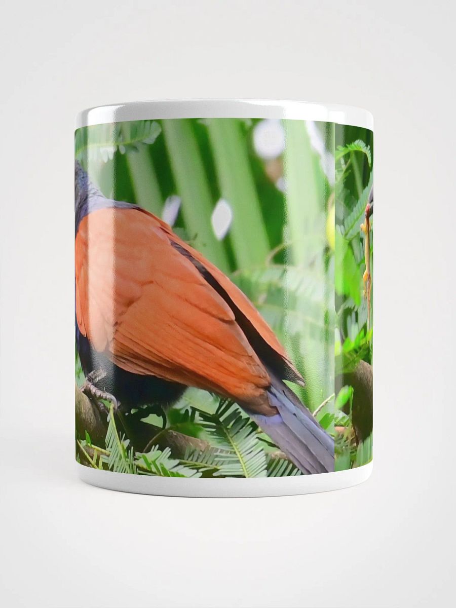 IUCAA Birds MUG product image (5)