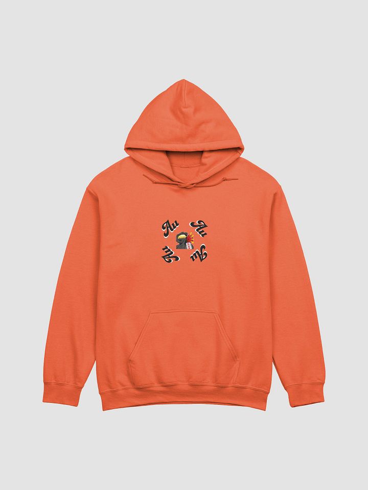 Article 13 - Example (Light) Hoodie product image (2)