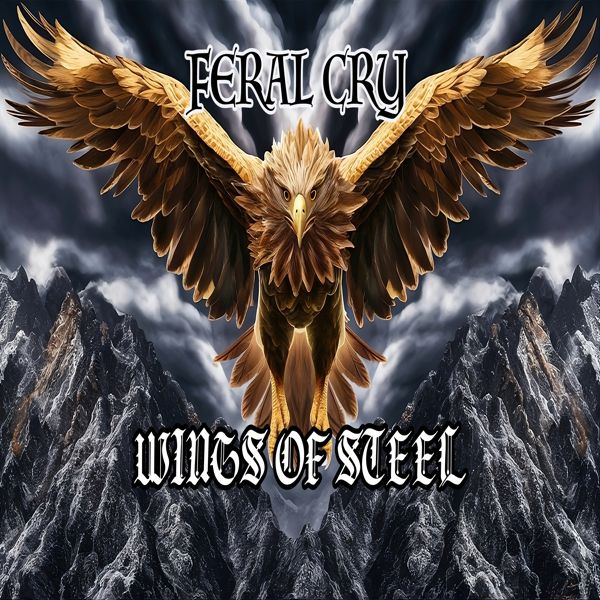 Wings of Steel product image (1)