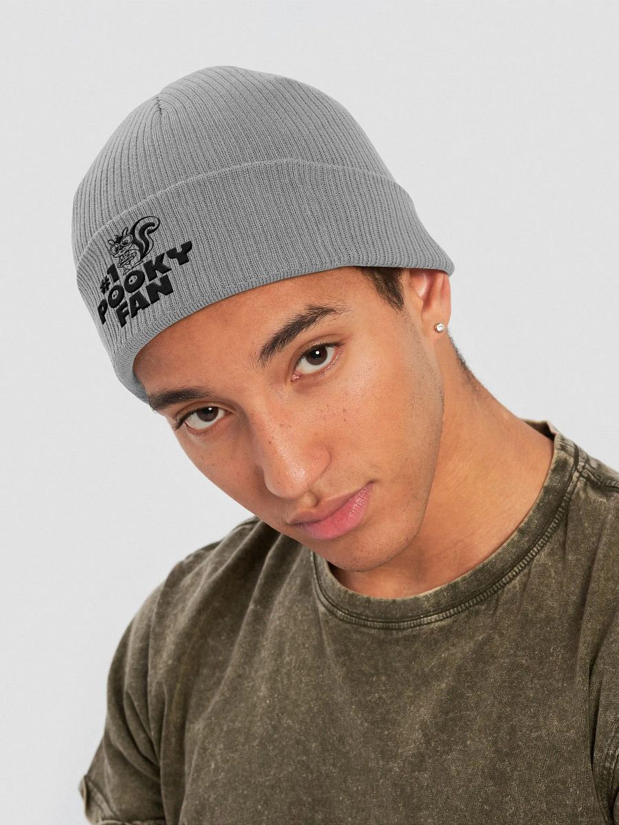 Organic Cotton Embroidered Beanie: Pooky Fan product image (4)