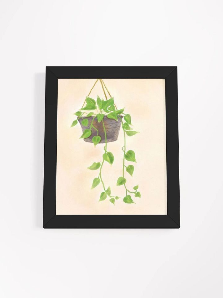 Hanging Plant product image (7)