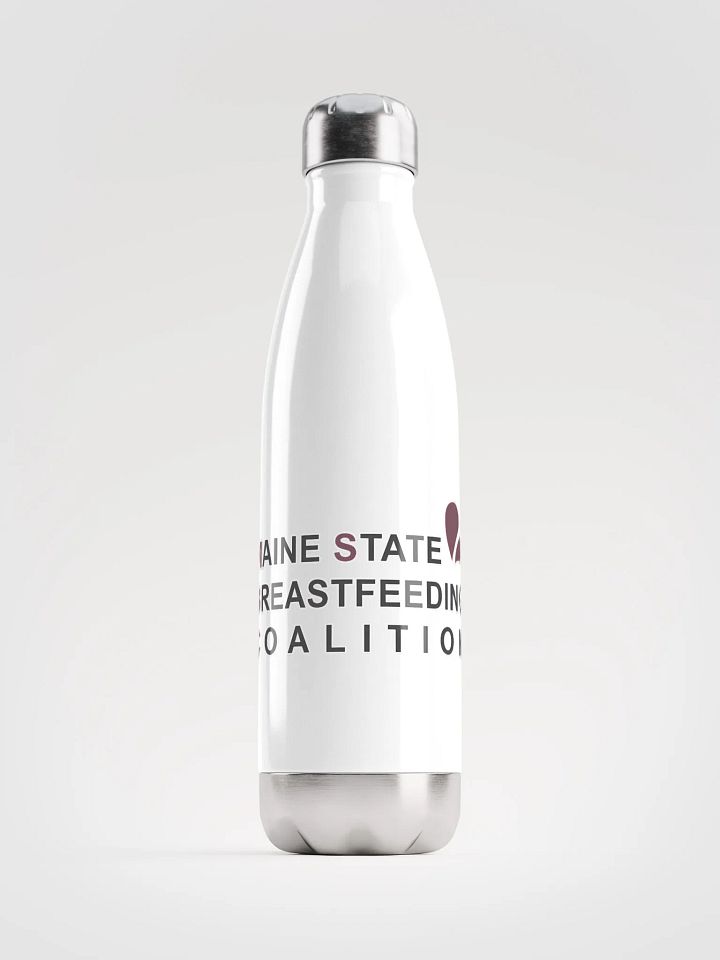 MSBC Logo Stainless Steel Water Bottle product image (1)