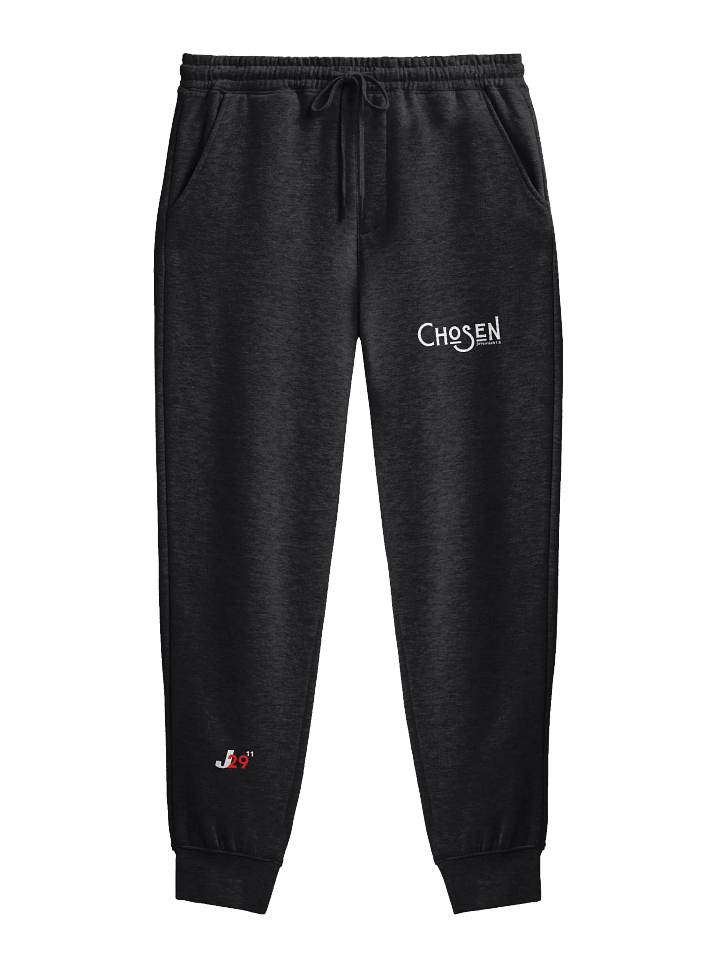 CHOSEN product image (1)