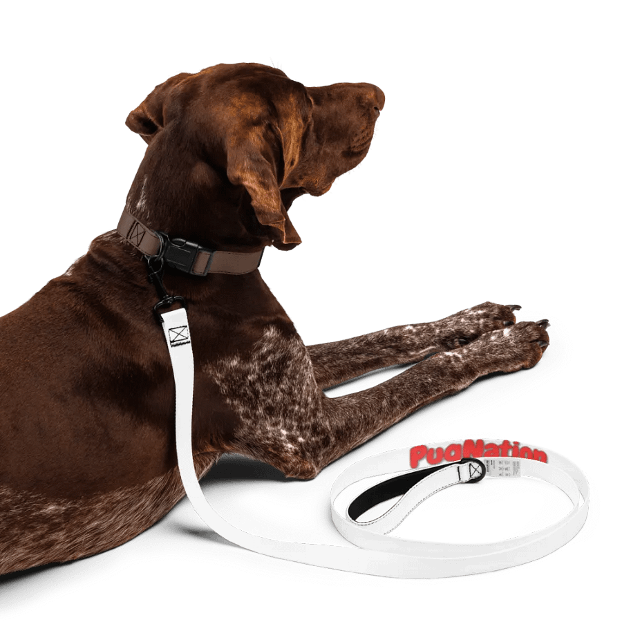 Pawsome Custom Print Pet Leash product image (5)