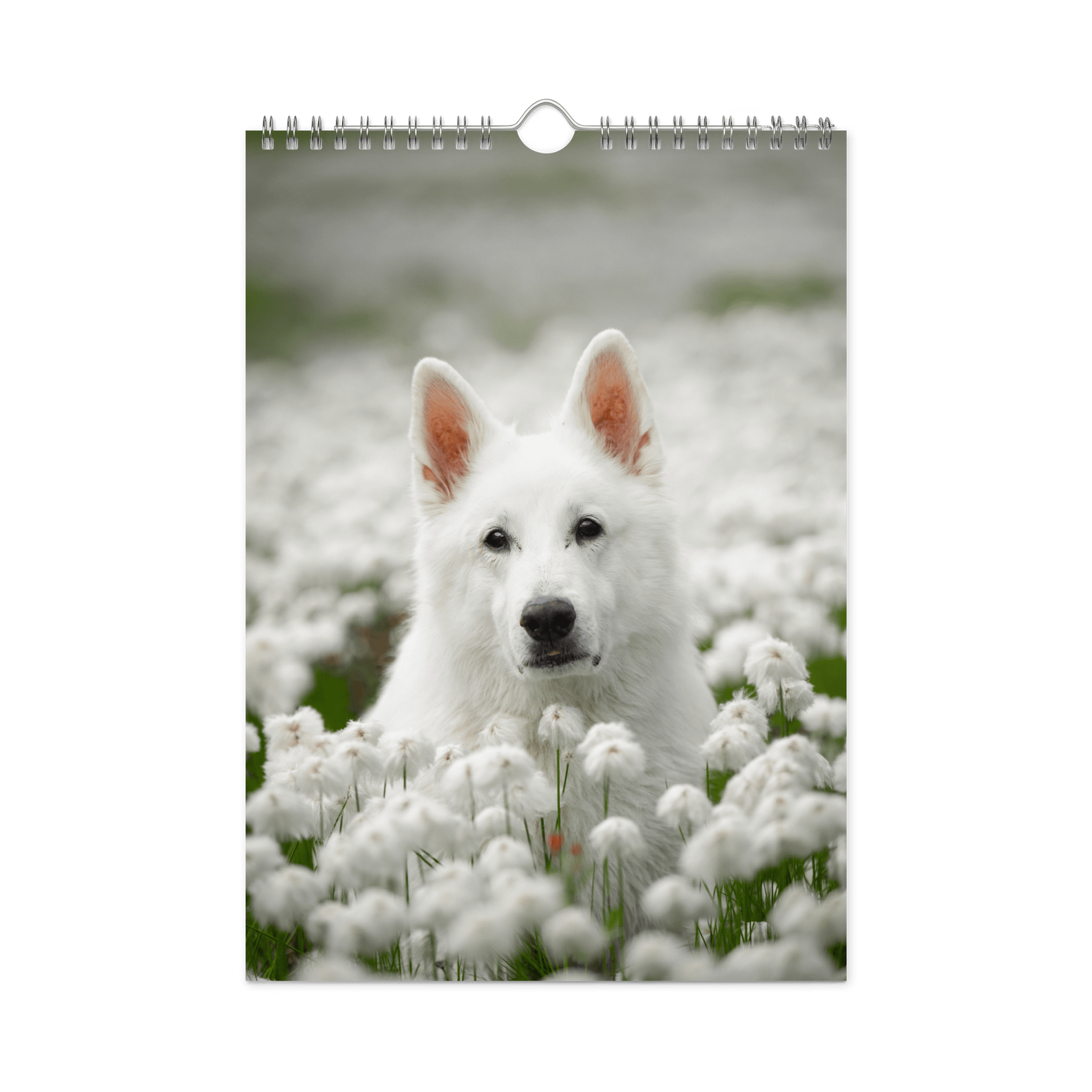 Rasta Calendar 2026 product image (1)