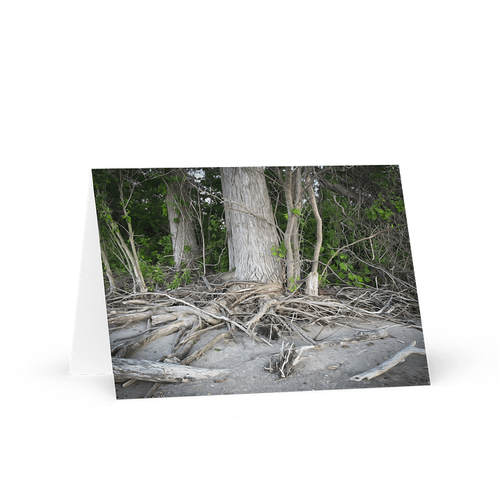 Rooted Greetings product image (1)