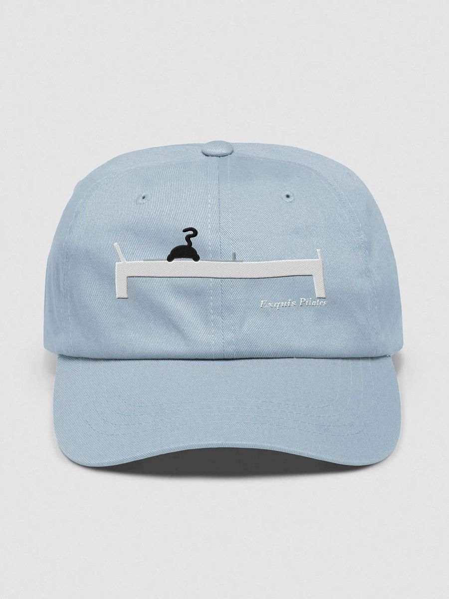 Cat on the Reformer Hat product image (2)